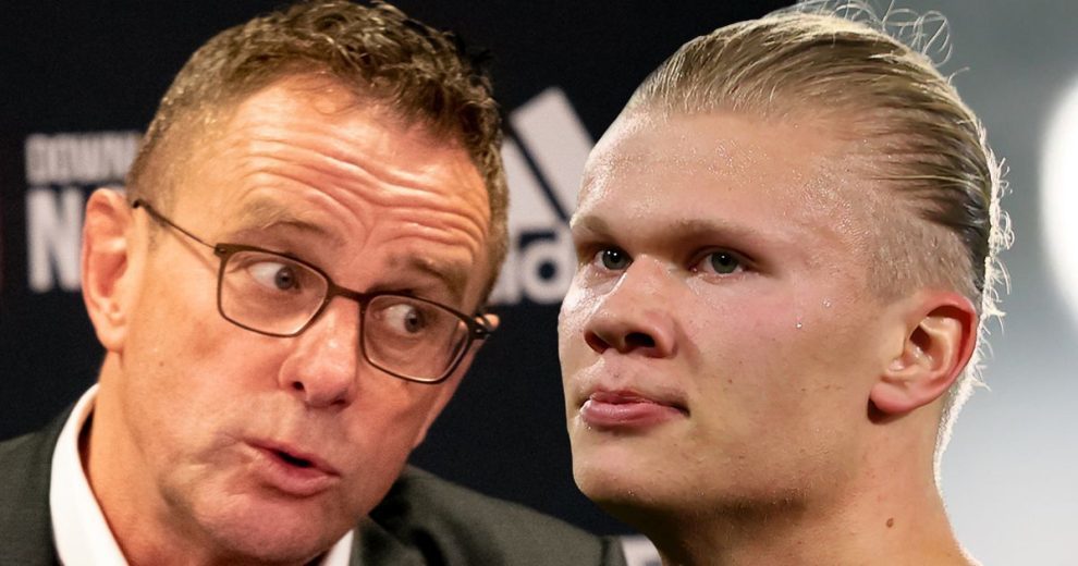 缩为可复现 缩为可复现